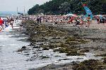 Бургас - Купища водорасли по Северния плаж