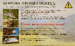 Казанлък - Борба с боровата процесионка в парк