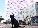 Варна  - Инсталация от чадъри  на пешеходната зона в центъра