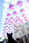 Варна  - Инсталация от чадъри  на пешеходната зона в центъра