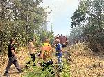 Българово – Пожар във вилна зона Лозницата
