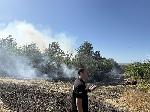 Българово – Пожар във вилна зона Лозницата