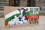 София - Петиция за забрана на клетките на телета