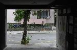 Варна - Куриоз на улица в центъра