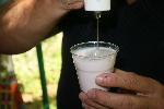 Плевен - Фрапе от вино в Института по лозарство и винарство