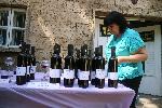 Плевен - Фрапе от вино в Института по лозарство и винарство