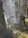 Военнослужещи и днес помагат за погасяването на големия горски пожар в Рила   ...