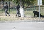 София - Противодействие на заплахи с дронове