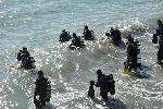 Бургас - Акция "Да запазим чисти морето и морския бряг заедно"