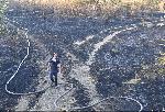 София - Пожар между Младост и Горубляне