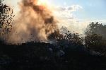 София - Пожар между Младост и Горубляне