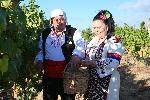 село Свирачи - Гроздобер