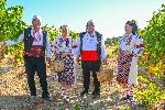 село Свирачи - Гроздобер