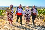 село Свирачи - Гроздобер