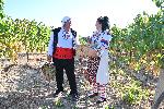 село Свирачи - Гроздобер