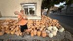 Горски извор - Кралят на тиквата