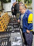 Плевен - Ножаро-ковашкия пленер 'Огън и искри'