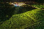 Мелник - село Хърсово - откриване на винарна AYA Estate Vineyards