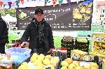София - Площад Бански - Фолклорен и кулинарен фестивал Момчилград гостува на София