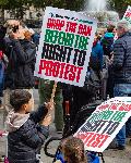Лондон - Арести на протеста в защита на Палестина
