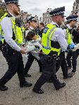 Лондон - Арести на протеста в защита на Палестина