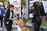 София - Бягане за животни в Борисовата градина