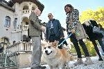 София - Двореца Врана - Кучета-водачи - Събитие на Фондация 'Очи на четири лапи'