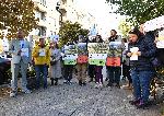 Протест в защита на Боянското блато пред Столична община