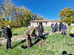 Видин - Деца залесяват чинари край крепостта "Баба Вида"