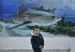Природонаучният музей в Бургас представи изложба, посветена на Международния ден на Черно море
