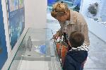 Бургас - Изложба за морето в Природонаучния музей