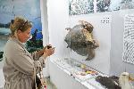 Бургас - Изложба за морето в Природонаучния музей