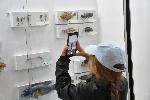 Бургас - Изложба за морето в Природонаучния музей