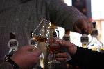 София - Whiskey Fest Sofia/ Уиски Фест София 2025