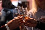 София - Whiskey Fest Sofia/ Уиски Фест София 2025