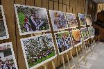 Хасково - Фотоизложба"Южната приказка на йорДАНЧО"