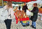 Плевен - Празник на пчелните продукти