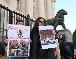 Протест срещу насилието над животни се провежда пред Съдебната палата в София