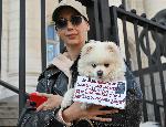 София - Протест срещу насилието над животни