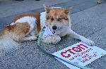 София - Протест срещу насилието над животни