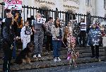 София - Протест срещу насилието над животни