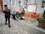 Плевен - Празник на сухопътните сили