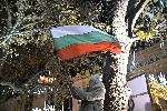 Хиляди излязоха на протест и в Пловдив