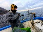 Бедна риболовна година изпращат варненските рибари