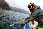 Варна - Едно утро с рибари в навечерието на Никулден