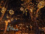 Варна - Коледно настроение