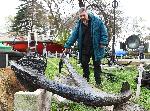 Варна - Дарени експонати във военноморският музей
