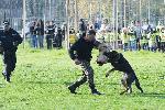 Варна - Деца се запознават с работата на полицейските кучета<br />