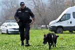 Варна - Деца се запознават с работата на полицейските кучета<br />