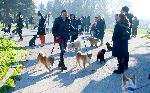 Масова разходка на кучета в Морската градина на  Варна